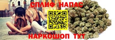 тгк Бийск