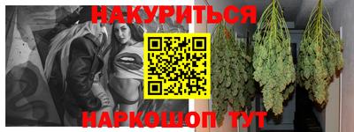 тгк Бийск