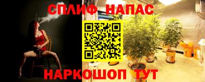 тгк Бийск