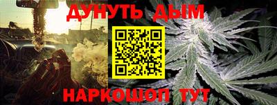 тгк Бийск