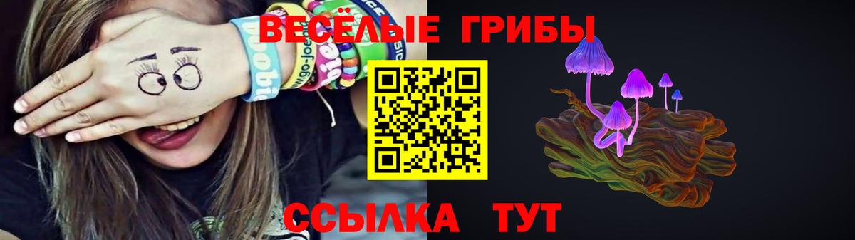 Псилоцибиновые грибы MAGIC MUSHROOMS  Вход с VPN  Йошкар-Ола 